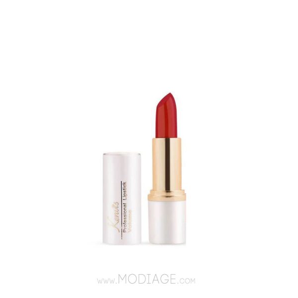 رژلب جامد حجم دهنده کنویس kenvis
Kenvis Volume Lipstick